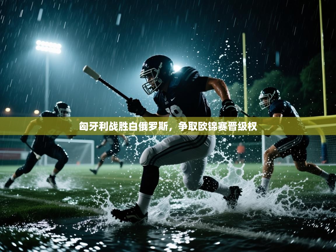 匈牙利战胜白俄罗斯,争取欧锦赛晋级权 第2张